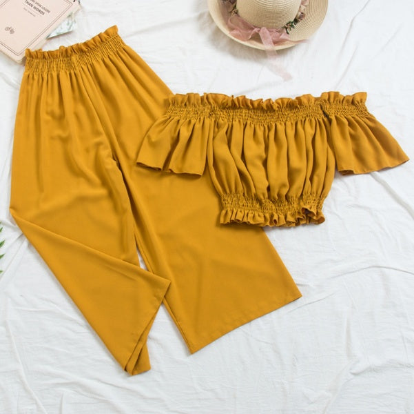 Two Piece Swimming Set