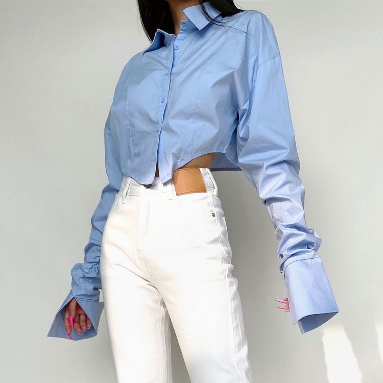 Niche Lapel Long Sleeve Blouse