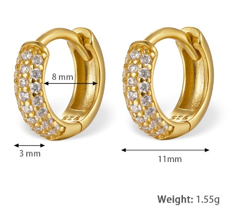 Paved Hoops Earrings