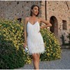 Sequins Feather Mini Dress